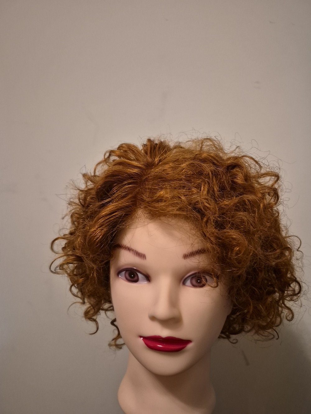 Curly Short Wig Human Hair